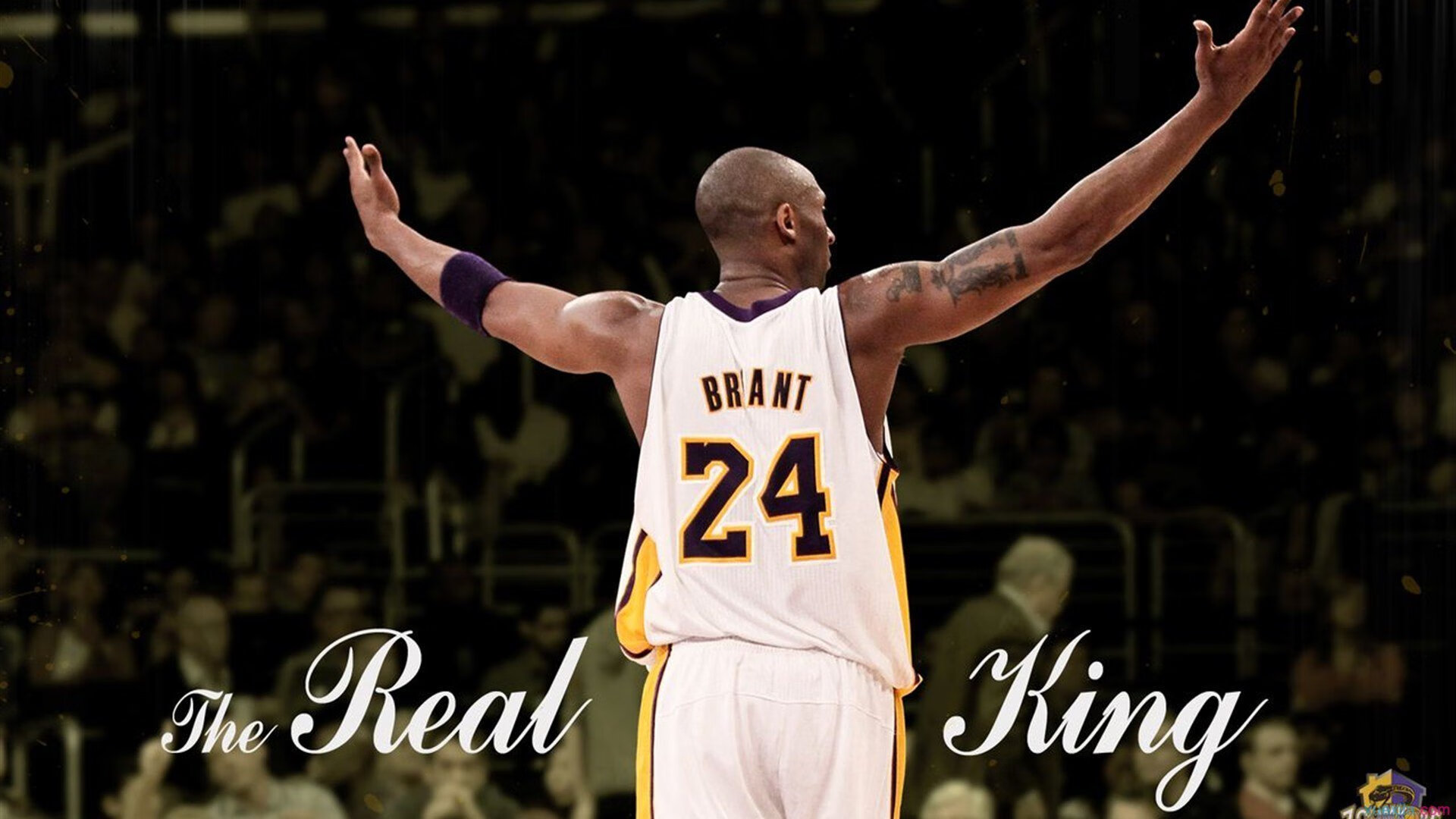 看好桑普多利亚主场获胜,信心十足